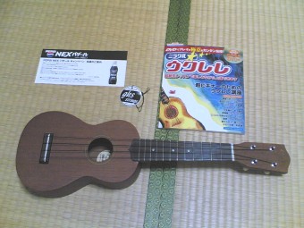070619_01_Ukulele.jpg